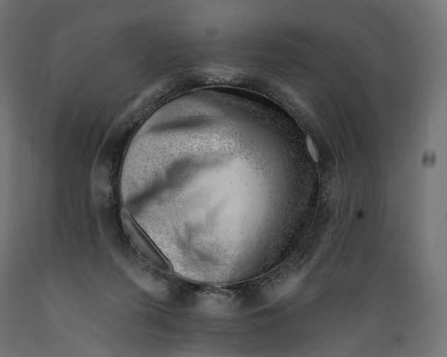 X0000088900215200707061502