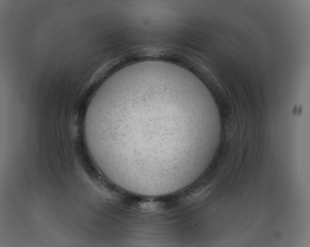 X0000088900216200707061502