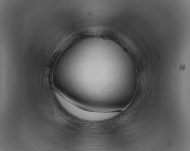 X0000088900217200707061502