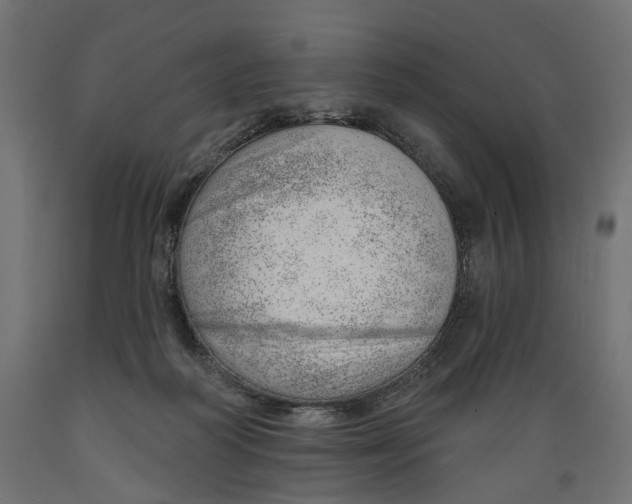 X0000088900218200707061502