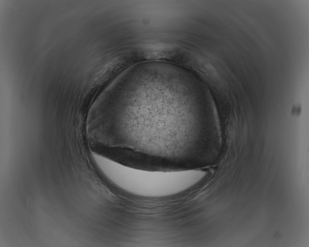 X0000088900219200707061502