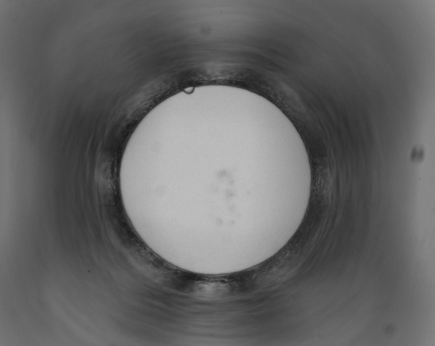 X0000088900220200707061502