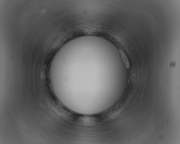 X0000088900221200707061502