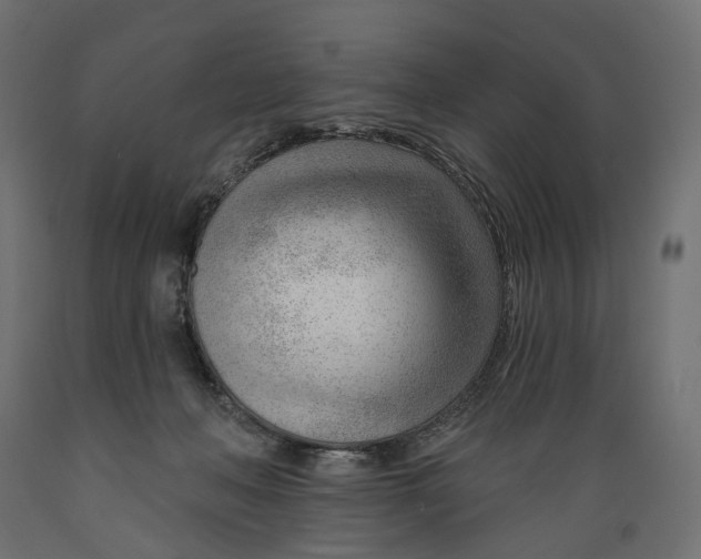 X0000088900222200707061502