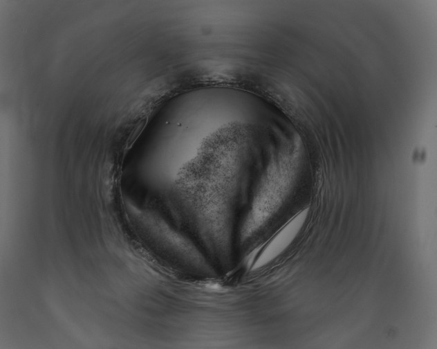 X0000088900223200707061502