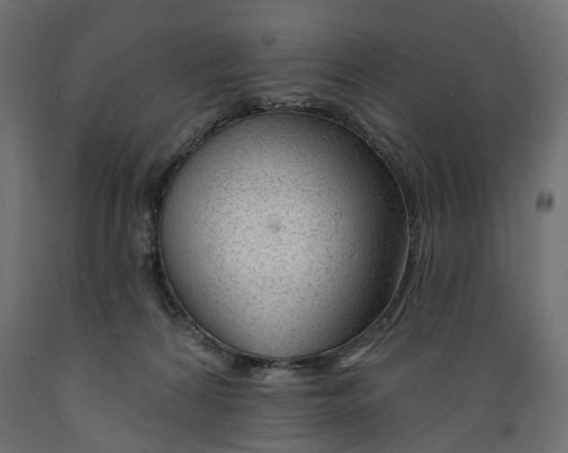 X0000088900224200707061502