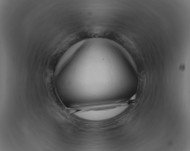 X0000088900225200707061502