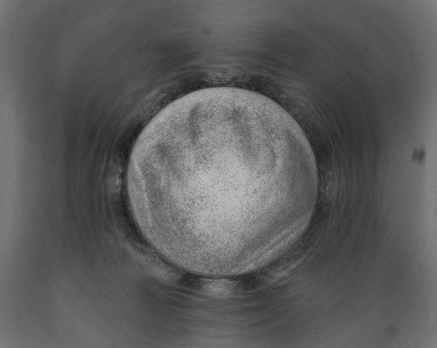 X0000088900226200707061502