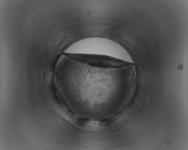 X0000088900227200707061502