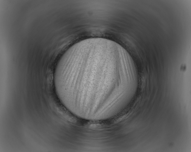 X0000088900228200707061501