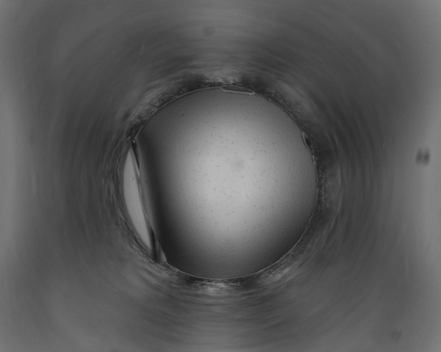 X0000088900229200707061501