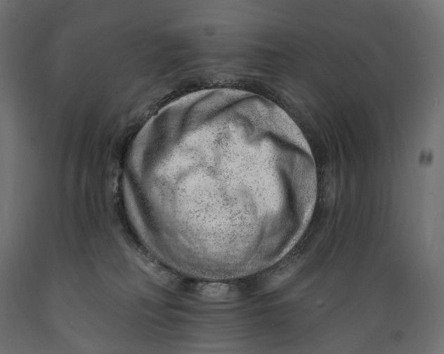 X0000088900230200707061501