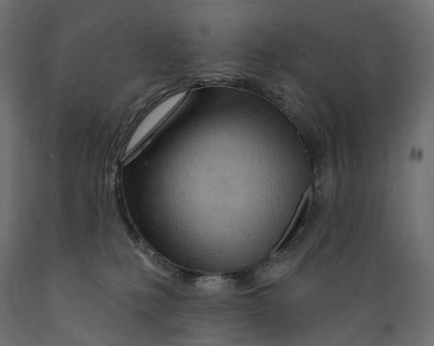 X0000088900231200707061501