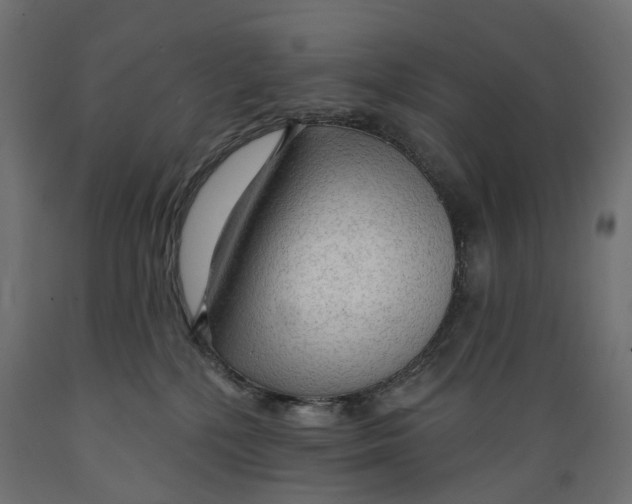 X0000088900232200707061501