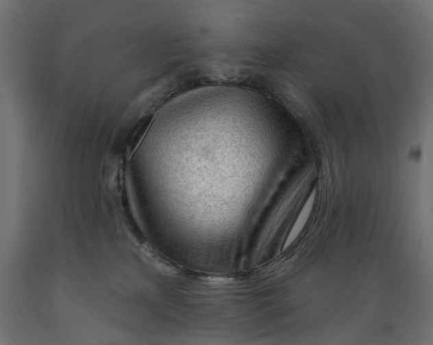 X0000088900233200707061501