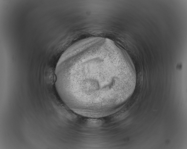 X0000088900234200707061501