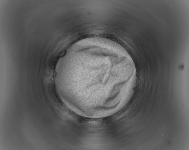 X0000088900236200707061501