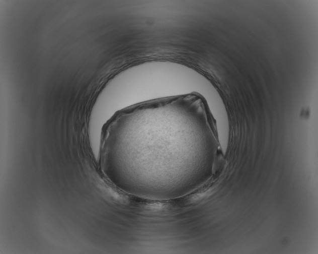 X0000088900237200707061501