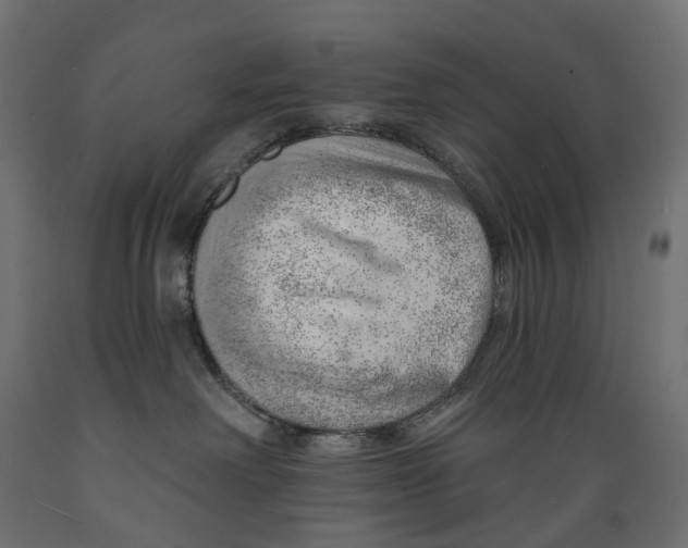 X0000088900238200707061501