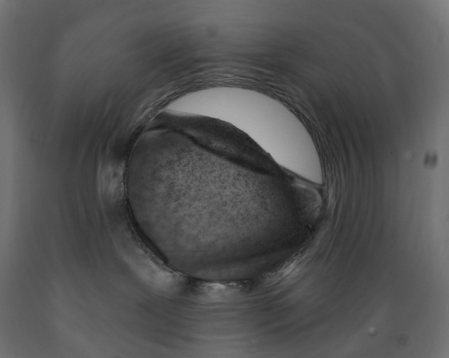 X0000088900239200707061501