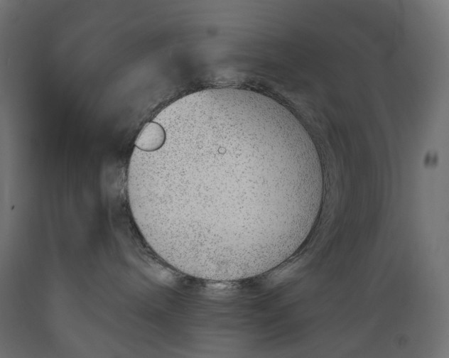 X0000088900240200707061501