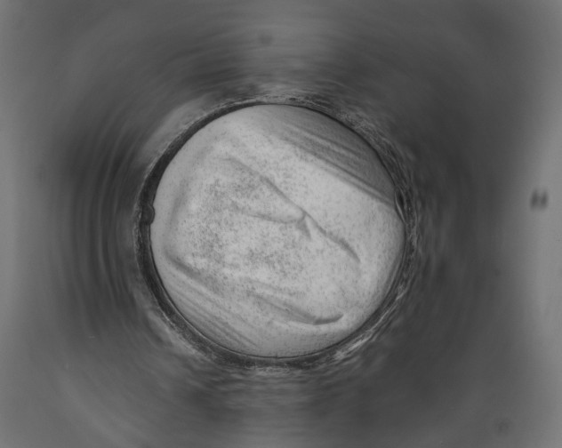 X0000088900242200707061501