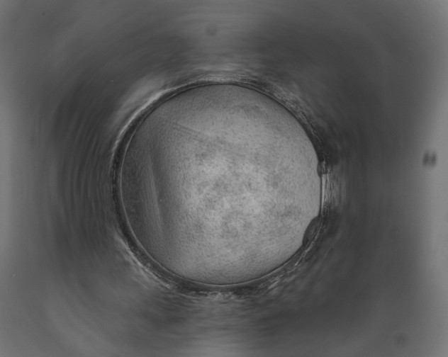 X0000088900243200707061501