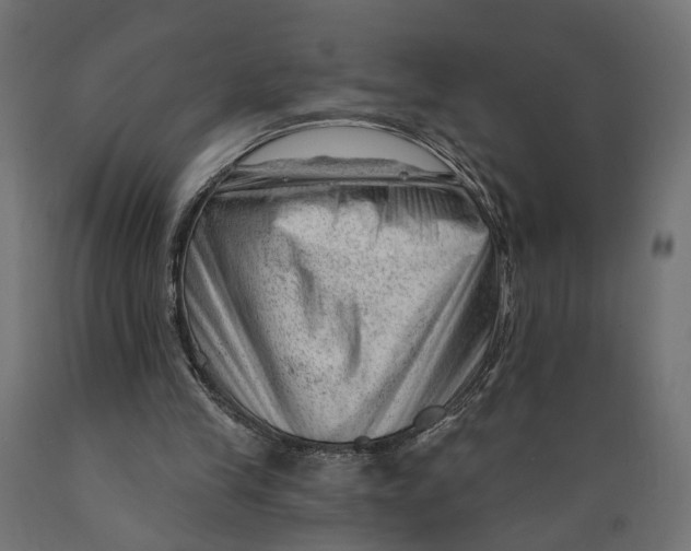 X0000088900245200707061501