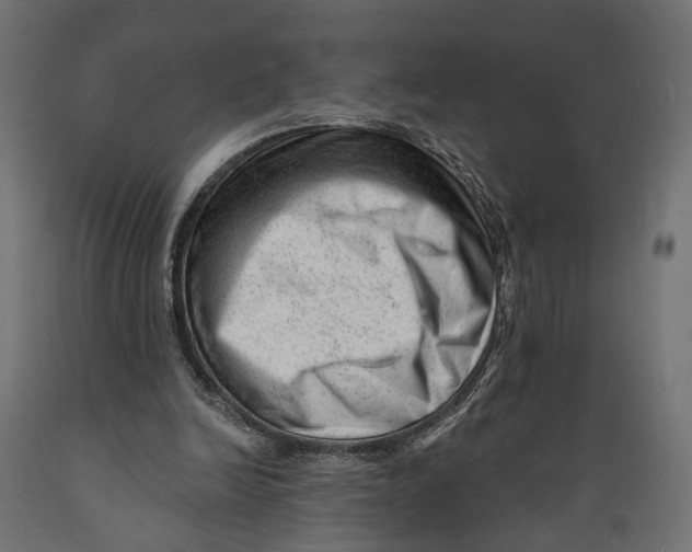 X0000088900246200707061501