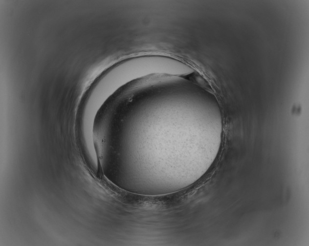 X0000088900248200707061501