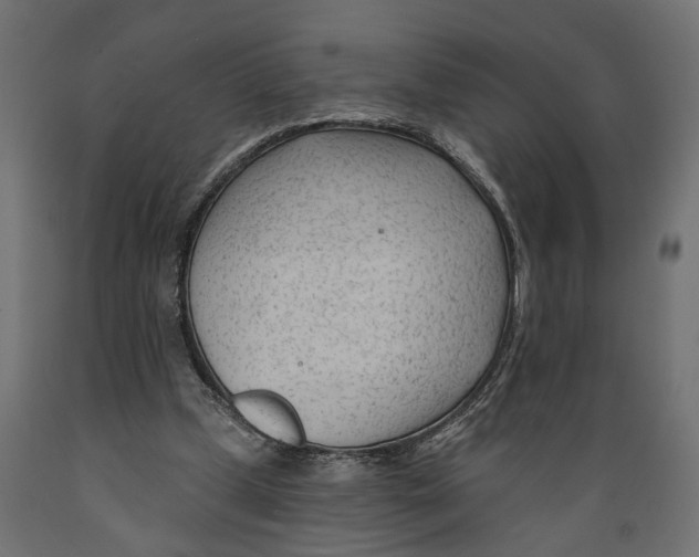 X0000088900249200707061501