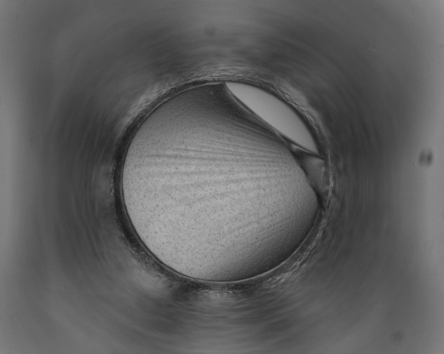 X0000088900250200707061501