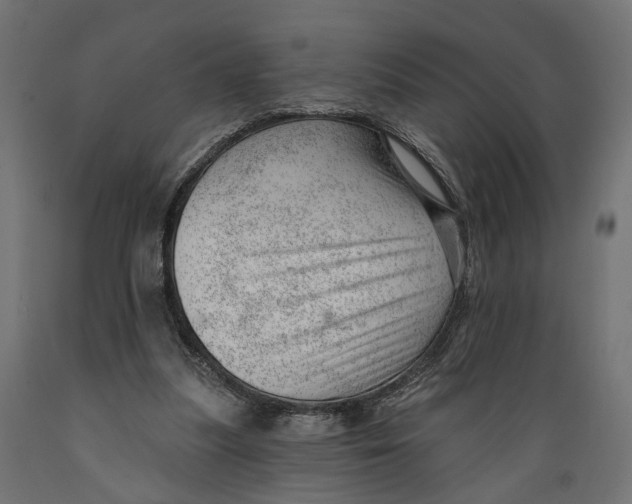 X0000088900251200707061501