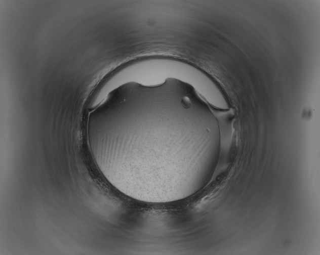 X0000088900252200707061501