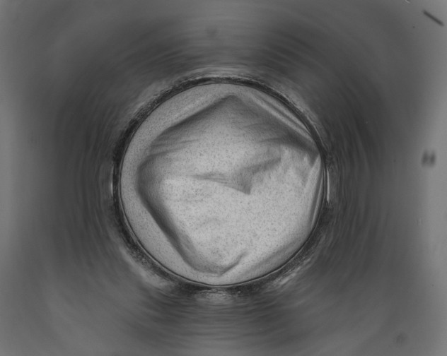 X0000088900253200707061501