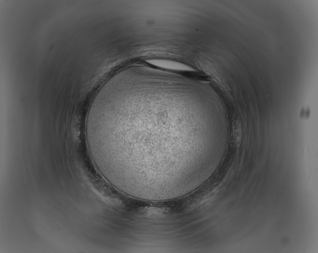 X0000088900255200707061501