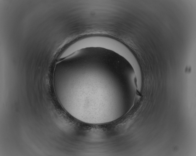 X0000088900256200707061501