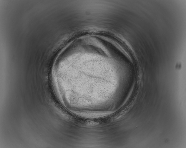 X0000088900257200707061501