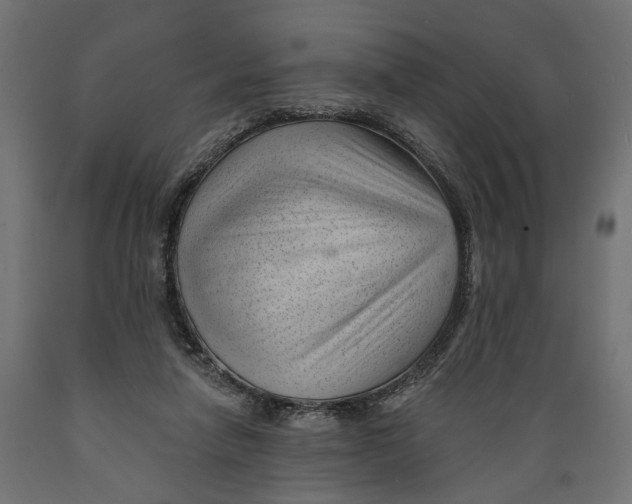 X0000088900258200707061501