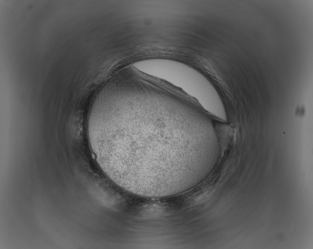 X0000088900259200707061501