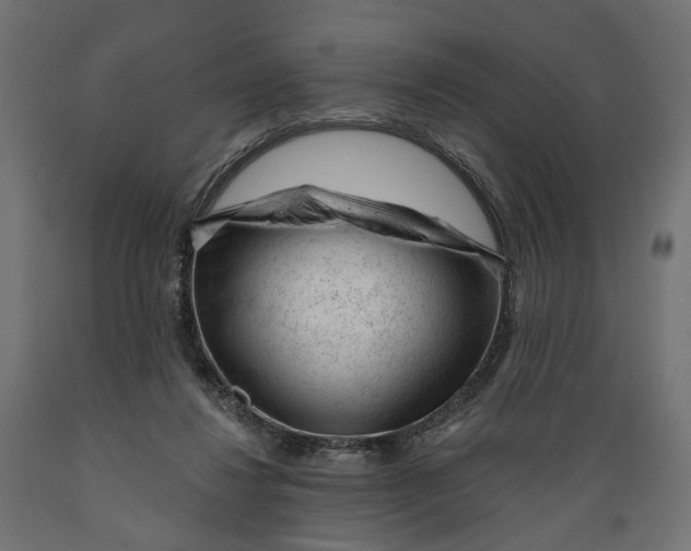 X0000088900260200707061501