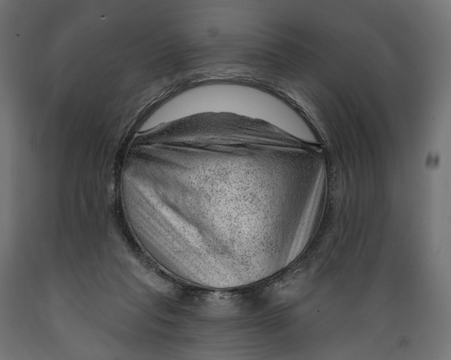 X0000088900261200707061501