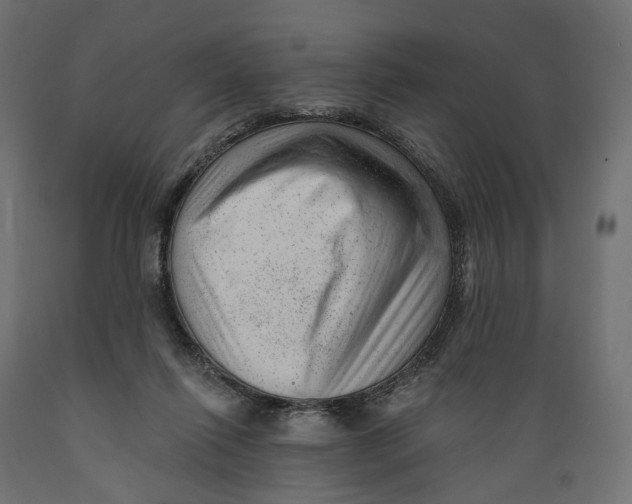 X0000088900262200707061501