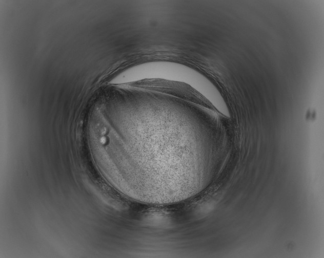 X0000088900263200707061501