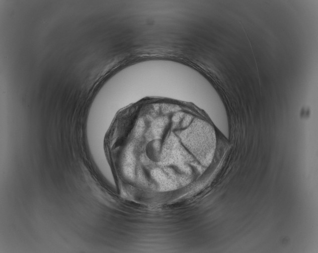 X0000088900264200707061501