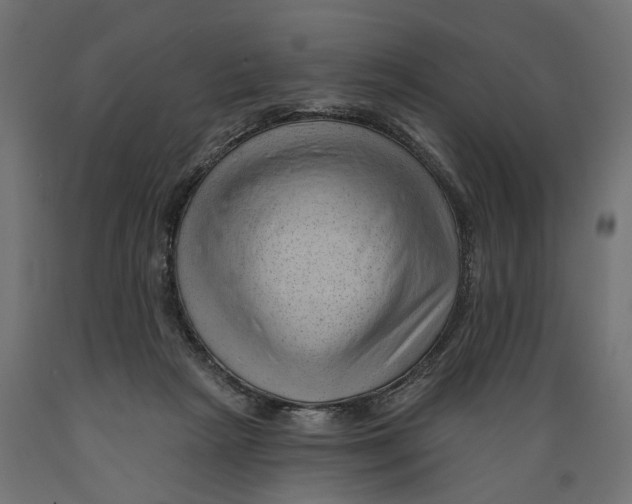 X0000088900265200707061501