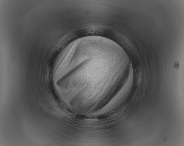 X0000088900266200707061501