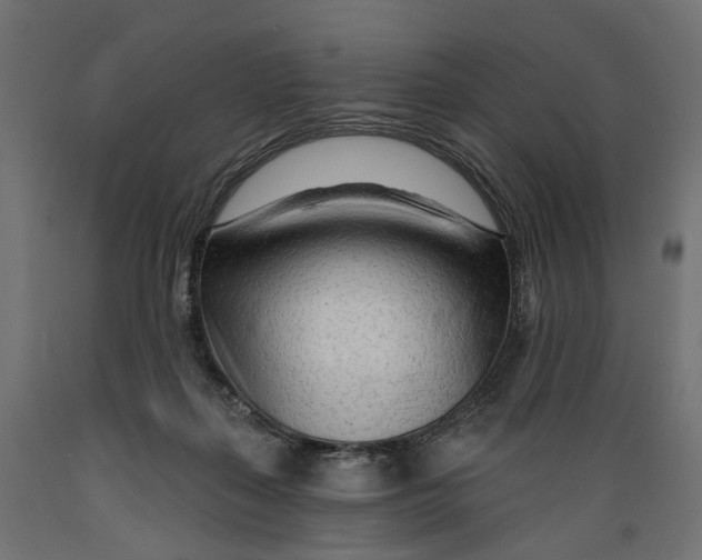 X0000088900267200707061501