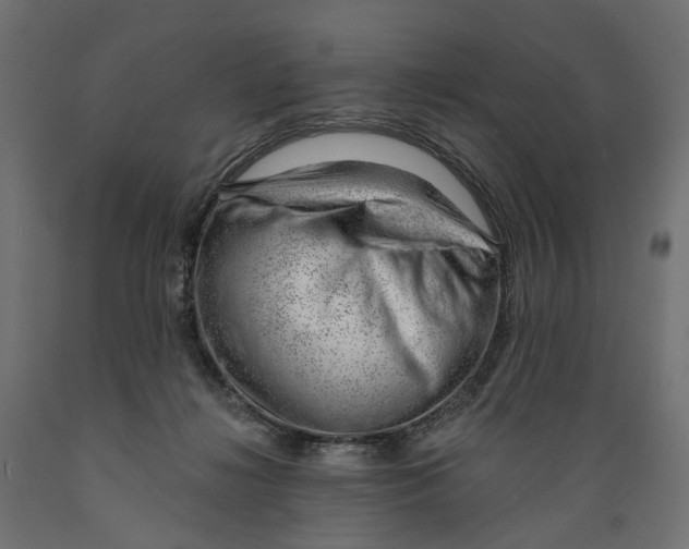 X0000088900268200707061501