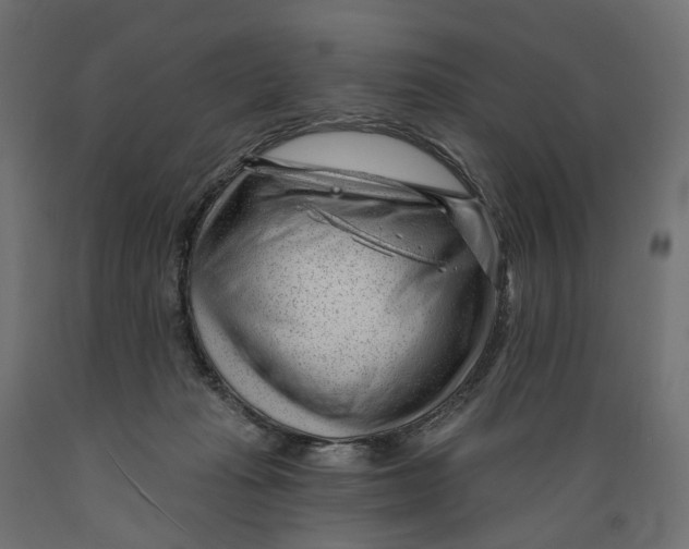 X0000088900269200707061501